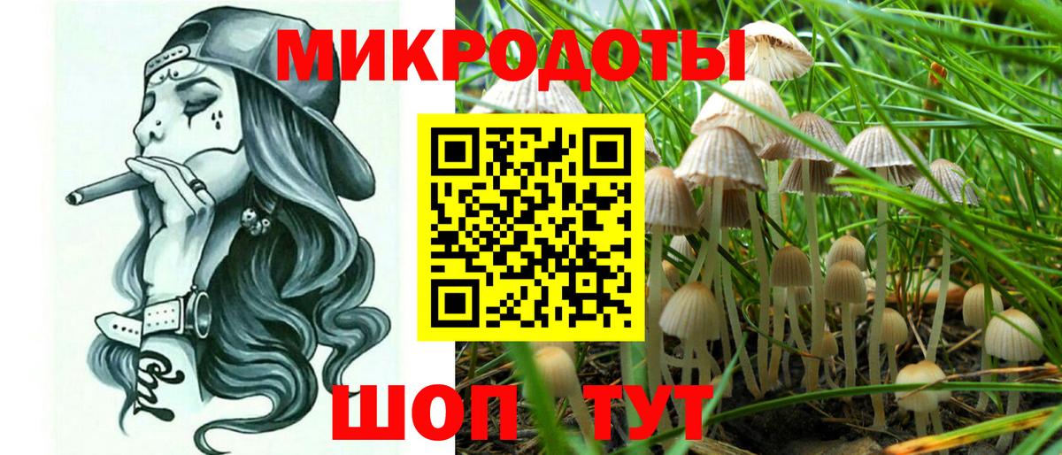 Галлюциногенные грибы Cubensis Волжск