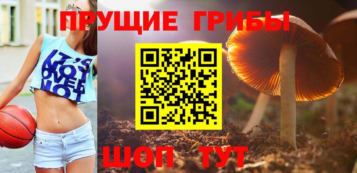 Галлюциногенные грибы Cubensis  Псилоцибиновые грибы Psilocybe  Волжск  Вход с VPN 