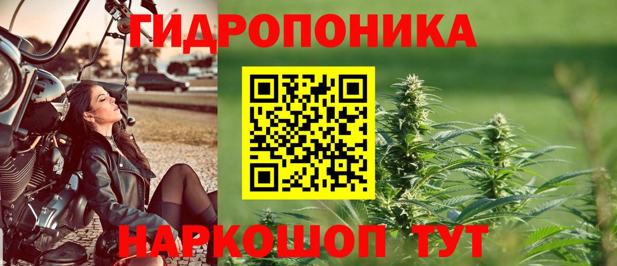 Бошки Шишки AK-47  Шишки марихуана Amnesia  Марихуана White Widow  Волжск  Вход с VPN 